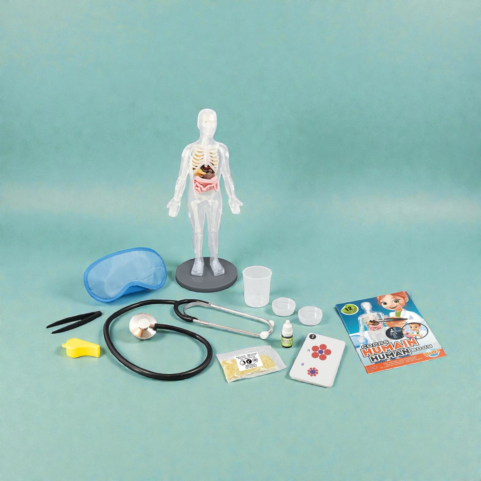 جسم الإنسان | Human Body - الصورة 4