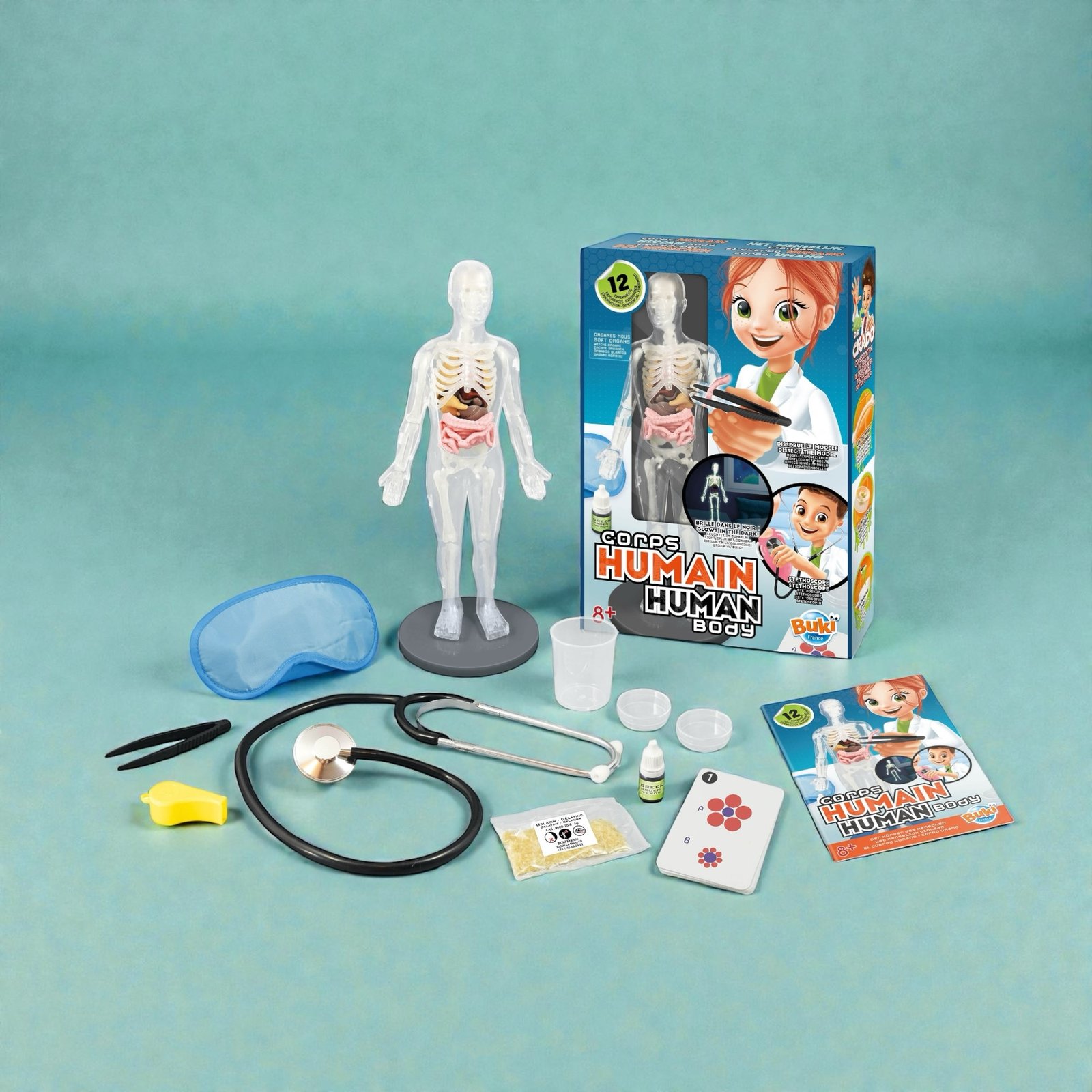 جسم الإنسان | Human Body - الصورة 3